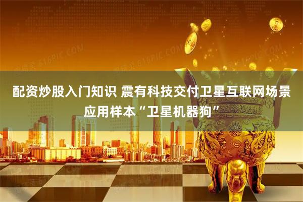 配资炒股入门知识 震有科技交付卫星互联网场景应用样本“卫星机器狗”